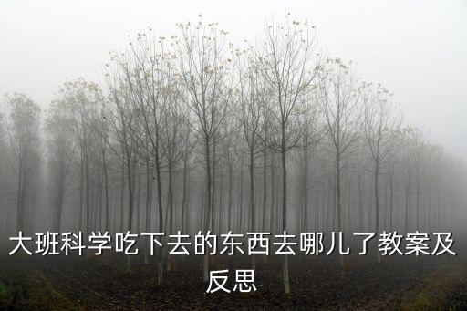 幼兒科學活動教案，幼兒園科學競賽游戲活動教案