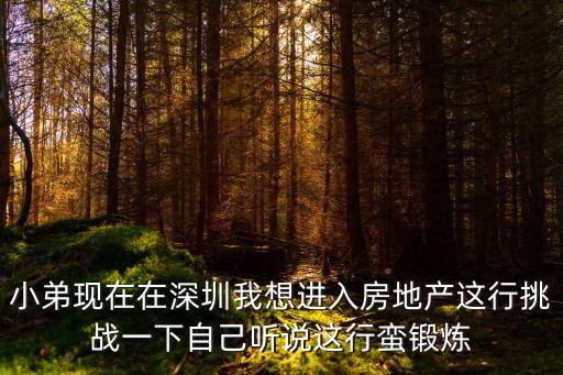 小弟現(xiàn)在在深圳我想進(jìn)入房地產(chǎn)這行挑戰(zhàn)一下自己聽說這行蠻鍛煉