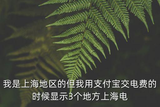 我是上海地區的但我用支付寶交電費的時候顯示3個地方上海電