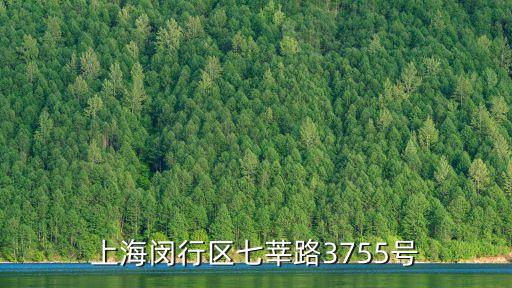 上海閔行區七莘路3755號