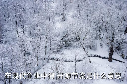 開源節流的意思,開源節流有何含義?