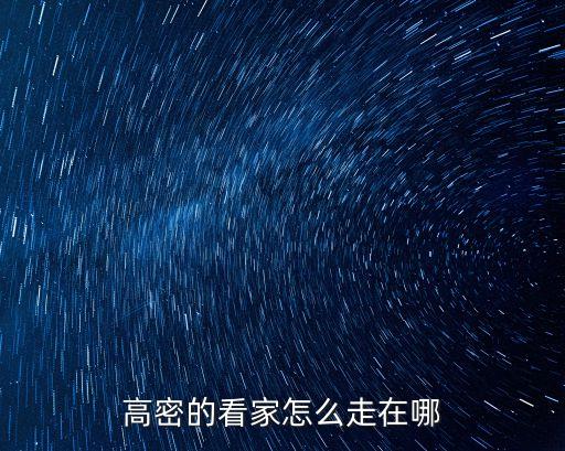 東莞鳳凰西街57號小區，高密的看家怎么走在哪