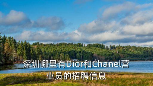 深圳哪里有Dior和Chanel營業員的招聘信息