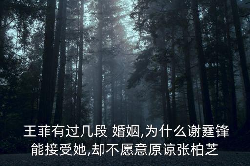  王菲有過幾段 婚姻,為什么謝霆鋒能接受她,卻不愿意原諒張柏芝
