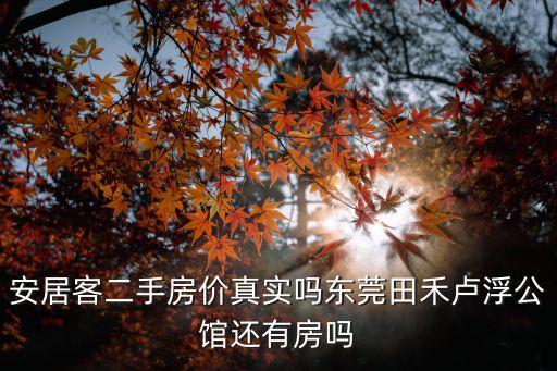 安居客二手房價真實嗎東莞田禾盧浮公館還有房嗎