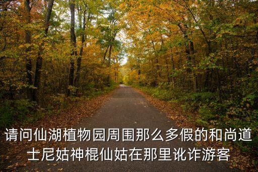 深圳路上的尼姑騙錢，路上遇尼姑騙錢怎樣舉報