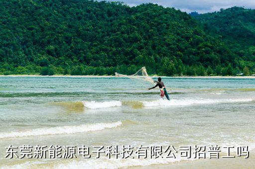 東莞麻涌新能源招聘，東莞新能源在招工嗎
