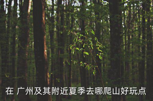 在 廣州及其附近夏季去哪爬山好玩點