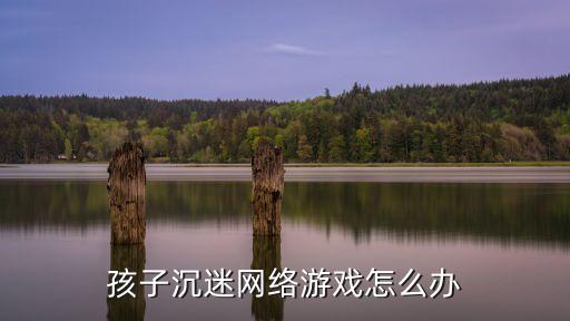 孩子沉迷網絡游戲怎么辦，孩子沉迷網絡游戲怎么辦