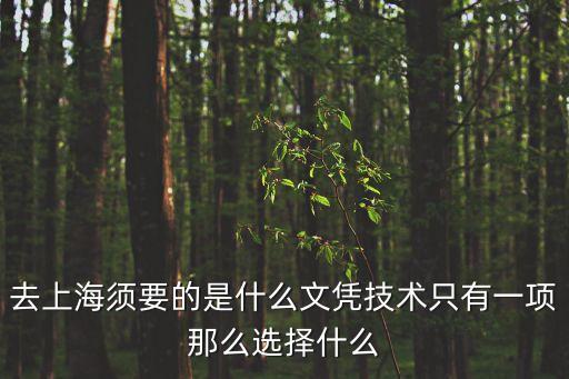 去上海須要的是什么文憑技術只有一項那么選擇什么