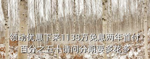 領動優惠下來1138萬免息兩年首付百分之五十請問分期要多花多