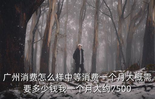 廣州消費怎么樣中等消費一個月大概需要多少錢我一個月大約7500
