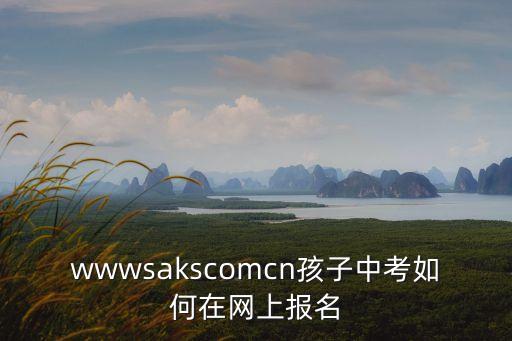 wwwsakscomcn孩子中考如何在網上報名