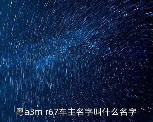 粵a3m r67車主名字叫什么名字