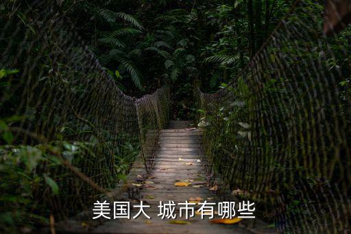 美國有哪些城市,美國一線城市休斯頓成美國經濟中心