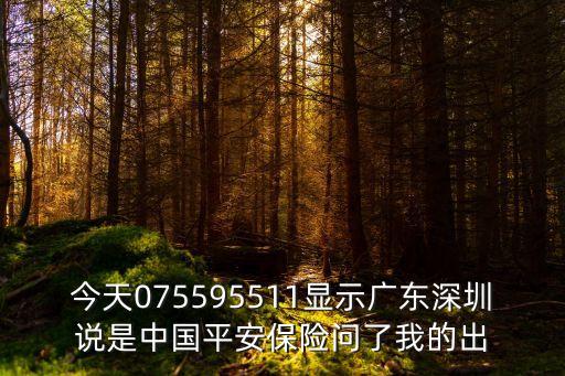 今天075595511顯示廣東深圳說是中國平安保險問了我的出