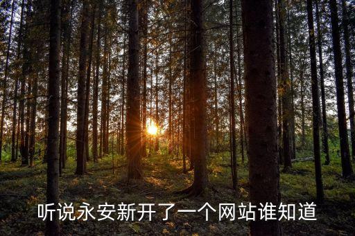聽(tīng)說(shuō)永安新開(kāi)了一個(gè)網(wǎng)站誰(shuí)知道