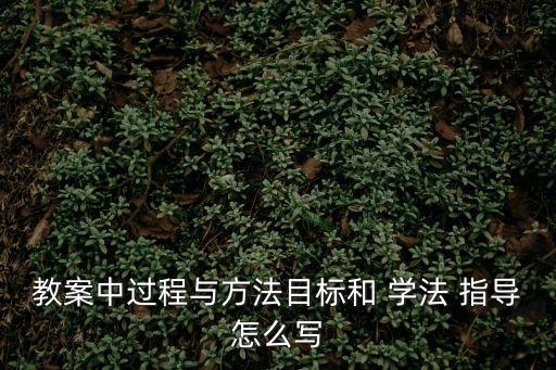 教案中過程與方法目標和 學法 指導怎么寫