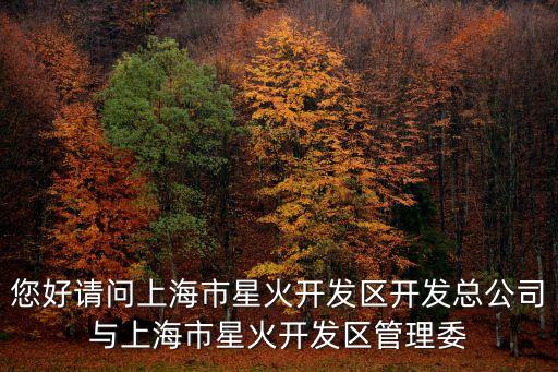 您好請問上海市星火開發區開發總公司與上海市星火開發區管理委