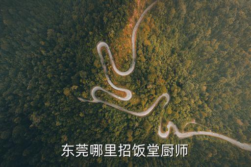東莞大朗有招煮飯阿姨的嗎，東莞哪里招飯堂廚師