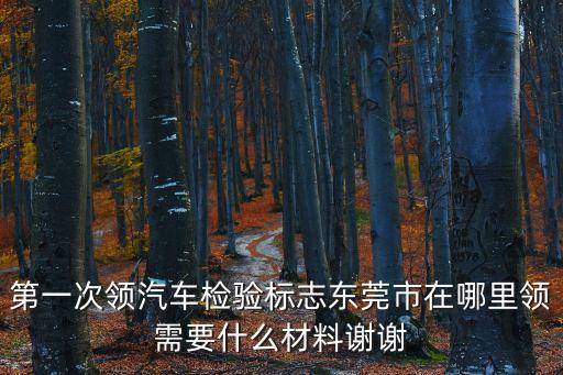 第一次領汽車檢驗標志東莞市在哪里領需要什么材料謝謝