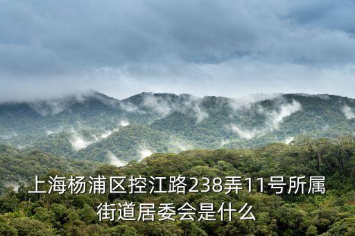 上海市楊浦區(qū)微型社會(huì)組織，上海市楊浦區(qū)雙陽支路的里委是哪