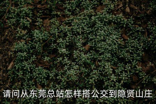 請問從東莞總站怎樣搭公交到隱賢山莊