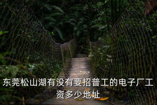 東莞松山湖利銘電子廠怎么樣，東莞松山湖有沒有要招普工的電子廠工資多少地址