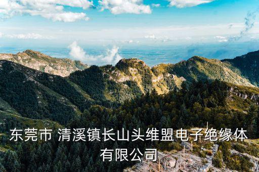 廠家推薦東莞引線式保險絲座，東莞市 清溪鎮(zhèn)長山頭維盟電子絕緣體有限公司