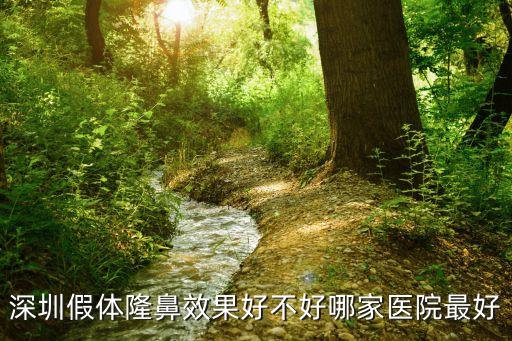 深圳假體隆鼻，深圳假體隆鼻哪家醫(yī)院好最好的是哪一家