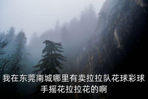 手捧花東莞，我在東莞南城哪里有賣拉拉隊花球彩球手搖花拉拉花的啊