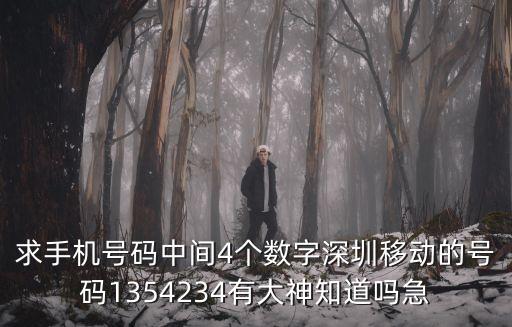 求手機(jī)號碼中間4個數(shù)字深圳移動的號碼1354234有大神知道嗎急