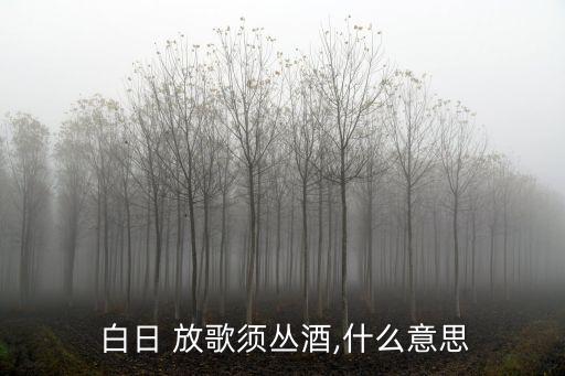  白日 放歌須叢酒,什么意思