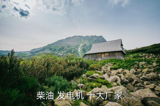 柴油 發電機 十大廠家