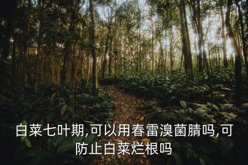 黃瓜細菌性角斑病,黃瓜霜霉病和細菌性角斑病有什么區別?