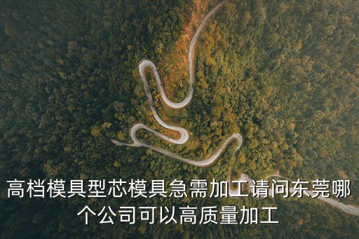 高檔模具型芯模具急需加工請問東莞哪個公司可以高質量加工
