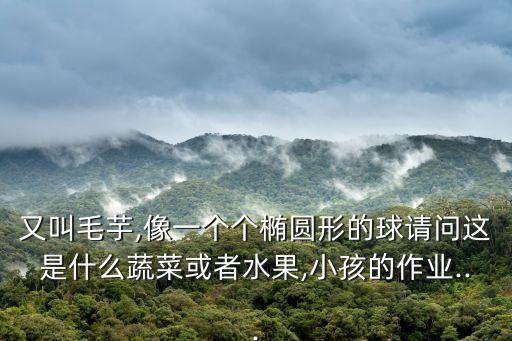 又叫毛芋,像一個個橢圓形的球請問這是什么蔬菜或者水果,小孩的作業...