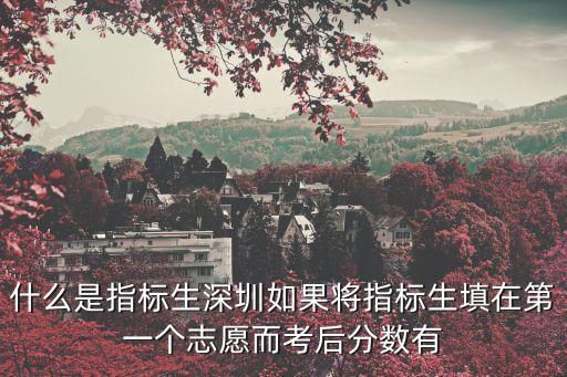 什么是指標(biāo)生深圳如果將指標(biāo)生填在第一個(gè)志愿而考后分?jǐn)?shù)有