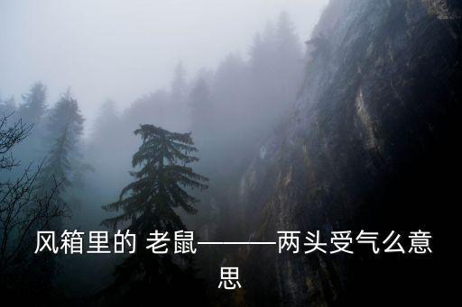 風箱里的 老鼠———兩頭受氣么意思