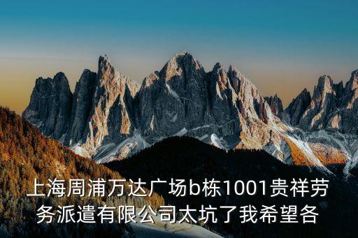上海周浦萬達廣場b棟1001貴祥勞務派遣有限公司太坑了我希望各