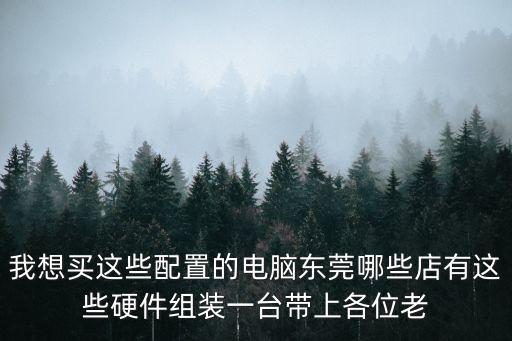 東莞哪個老板最火，我想買這些配置的電腦東莞哪些店有這些硬件組裝一臺帶上各位老
