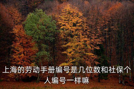 上海的勞動手冊編號是幾位數和社保個人編號一樣嘛