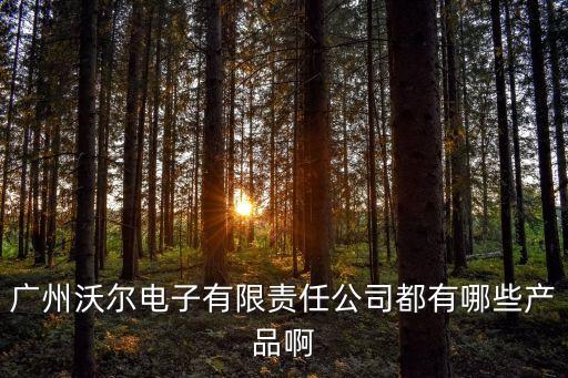 廣州沃爾電子有限責任公司都有哪些產品啊