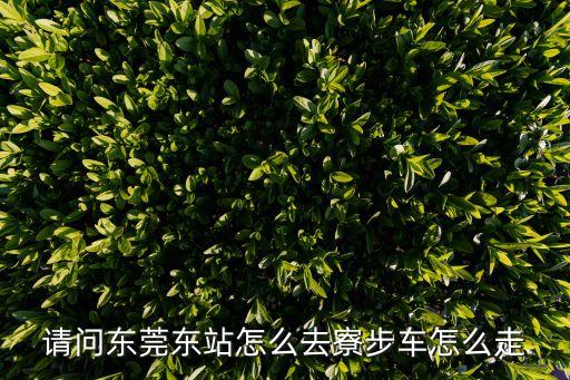 請問東莞東站怎么去寮步車怎么走