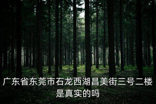 廣東省東莞市石龍西湖昌美街三號二樓是真實的嗎