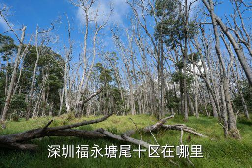 深圳廣安大廈，從深圳坐火車去廣州市環市東路廣安大廈怎么走