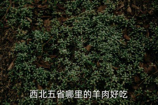 靖遠羊羔肉
