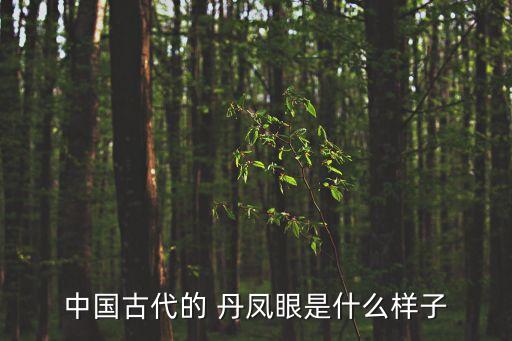 中國古代的 丹鳳眼是什么樣子