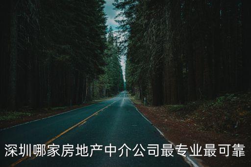 深圳哪家房地產中介公司最專業最可靠