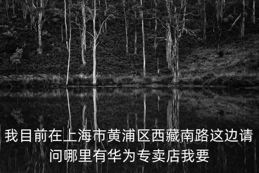 我目前在上海市黃浦區西藏南路這邊請問哪里有華為專賣店我要